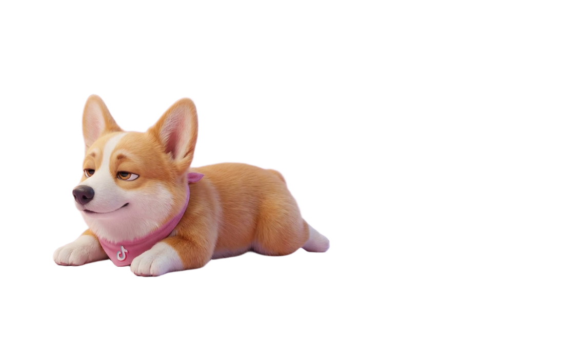Аси лежит рядом с TIKKI